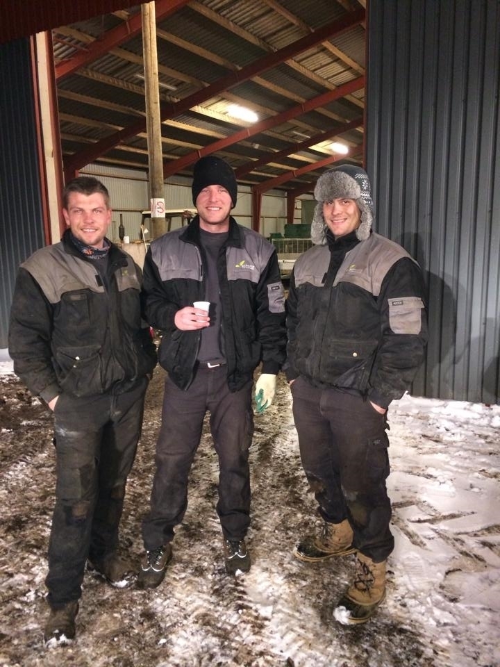 Billede af 3 medarbejder, der er ude at skovle sne